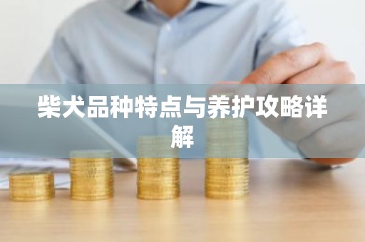 柴犬品种特点与养护攻略详解
