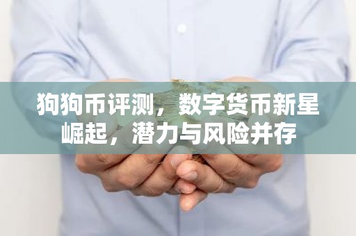 狗狗币评测，数字货币新星崛起，潜力与风险并存