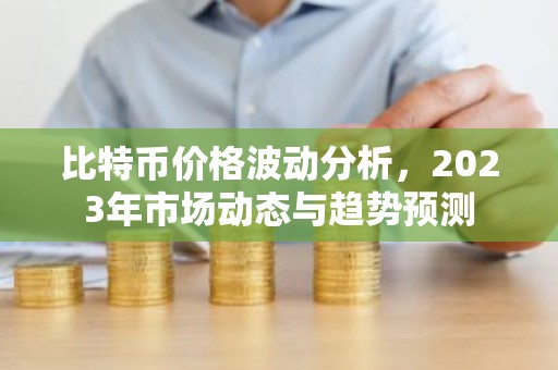 比特币价格波动分析，2023年市场动态与趋势预测