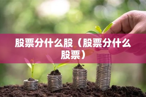 股票分什么股（股票分什么股票）