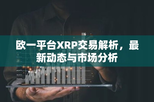 欧一平台XRP交易解析，最新动态与市场分析