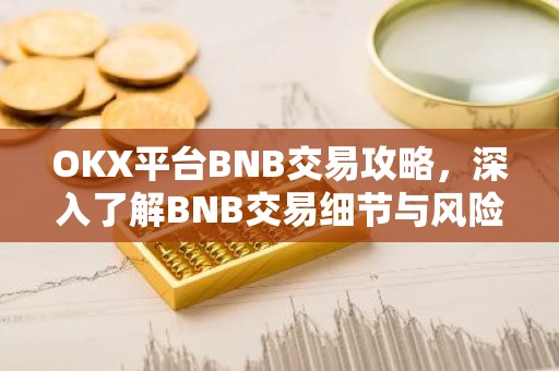 OKX平台BNB交易攻略，深入了解BNB交易细节与风险