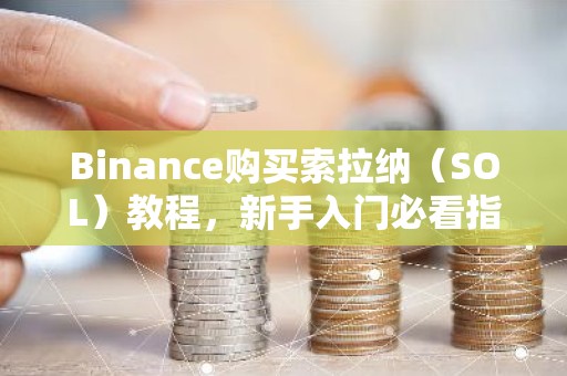 Binance购买索拉纳（SOL）教程，新手入门必看指南
