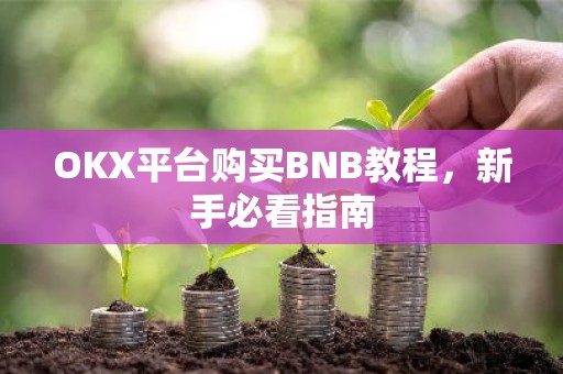 OKX平台购买BNB教程，新手必看指南