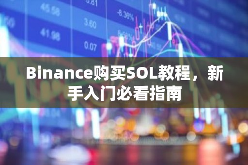 Binance购买SOL教程，新手入门必看指南