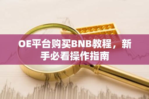 OE平台购买BNB教程，新手必看操作指南