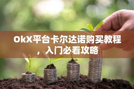 OkX平台卡尔达诺购买教程，入门必看攻略