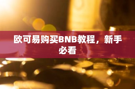 欧可易购买BNB教程，新手必看
