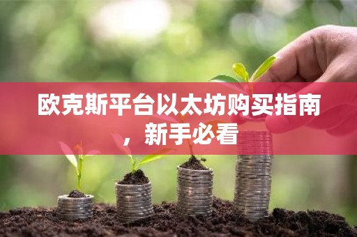 欧克斯平台以太坊购买指南，新手必看