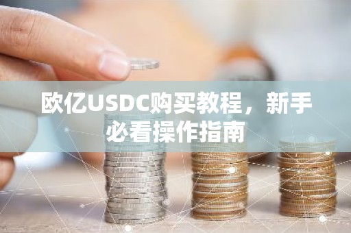 欧亿USDC购买教程，新手必看操作指南