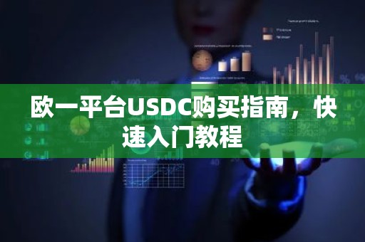 欧一平台USDC购买指南，快速入门教程