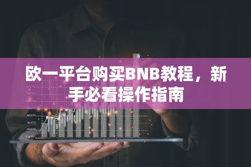 欧一平台购买BNB教程，新手必看操作指南