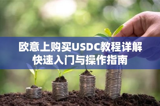 欧意上购买USDC教程详解快速入门与操作指南