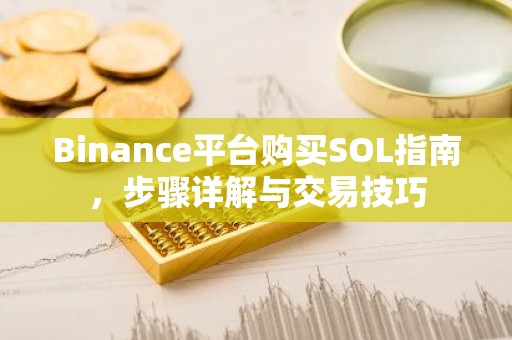 Binance平台购买SOL指南，步骤详解与交易技巧