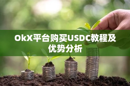 OkX平台购买USDC教程及优势分析