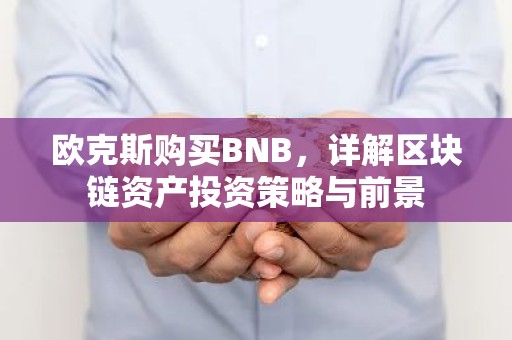 欧克斯购买BNB，详解区块链资产投资策略与前景