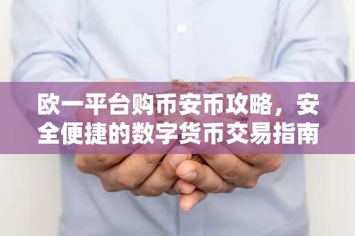 欧一平台购币安币攻略，安全便捷的数字货币交易指南