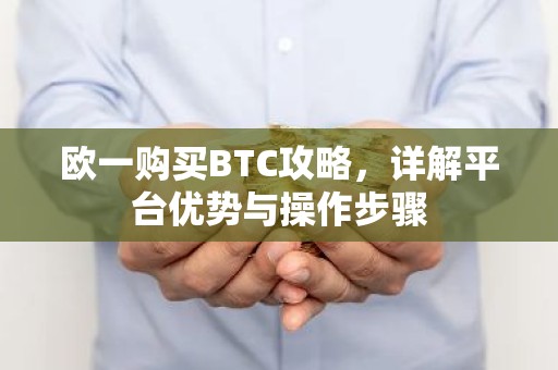 欧一购买BTC攻略，详解平台优势与操作步骤