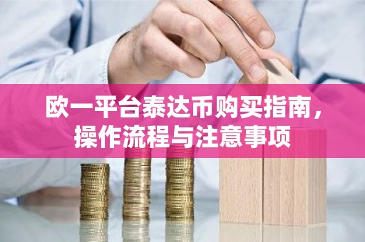 欧一平台泰达币购买指南，操作流程与注意事项