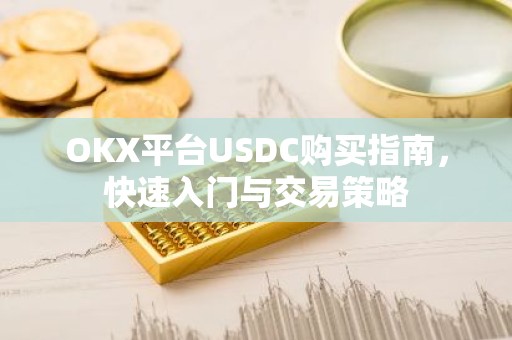 OKX平台USDC购买指南，快速入门与交易策略