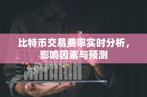 比特币交易费率实时分析，影响因素与预测