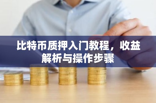 比特币质押入门教程，收益解析与操作步骤