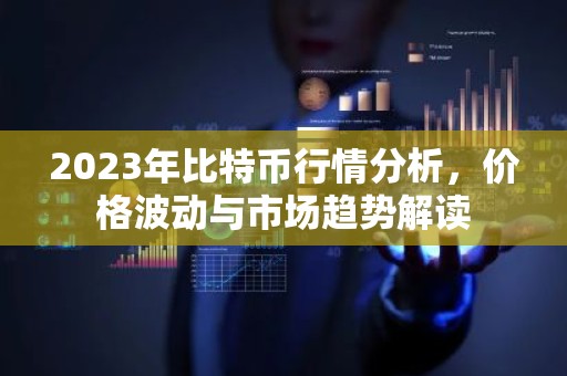 2023年比特币行情分析，价格波动与市场趋势解读