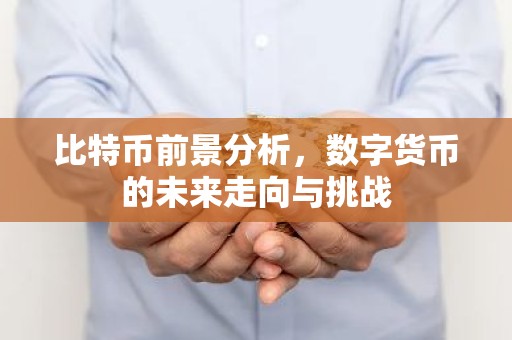 比特币前景分析，数字货币的未来走向与挑战