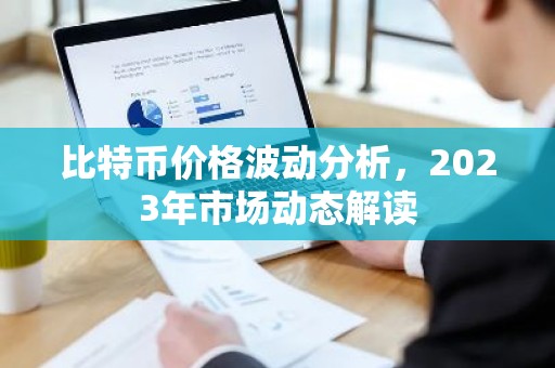 比特币价格波动分析，2023年市场动态解读