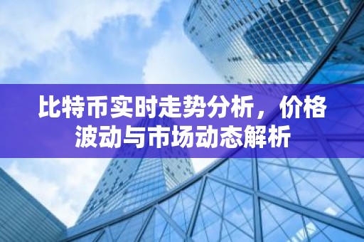 比特币实时走势分析，价格波动与市场动态解析