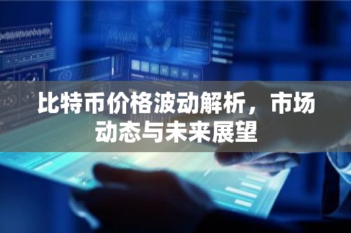 比特币价格波动解析，市场动态与未来展望