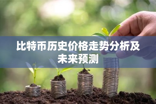 比特币历史价格走势分析及未来预测