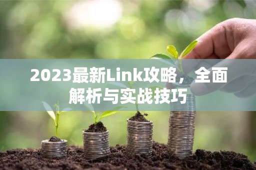2023最新Link攻略，全面解析与实战技巧