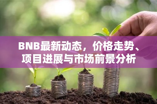 BNB最新动态，价格走势、项目进展与市场前景分析