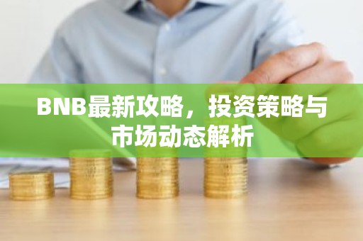 BNB最新攻略，投资策略与市场动态解析