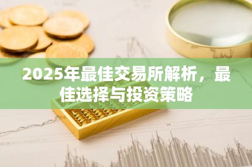 2025年最佳交易所解析，最佳选择与投资策略