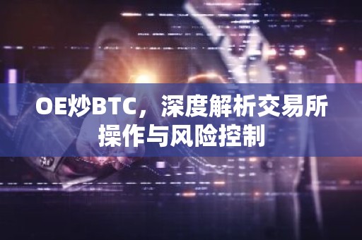 OE炒BTC，深度解析交易所操作与风险控制