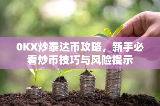 0KX炒泰达币攻略，新手必看炒币技巧与风险提示