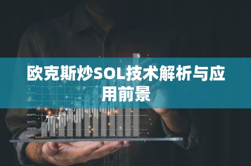欧克斯炒SOL技术解析与应用前景