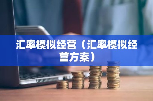 汇率模拟经营（汇率模拟经营方案）