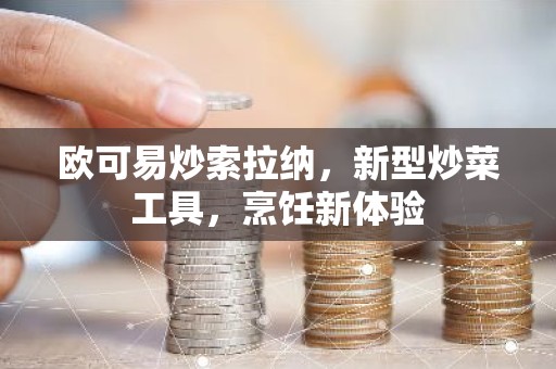 欧可易炒索拉纳，新型炒菜工具，烹饪新体验
