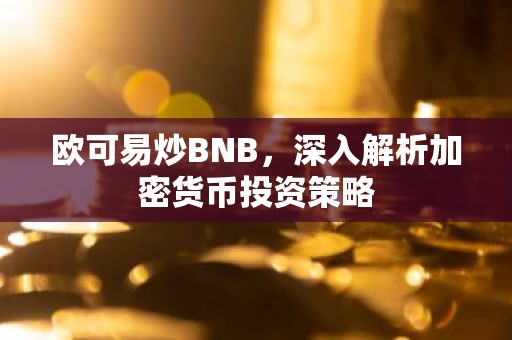 欧可易炒BNB，深入解析加密货币投资策略