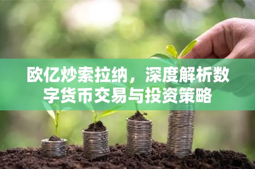 欧亿炒索拉纳，深度解析数字货币交易与投资策略