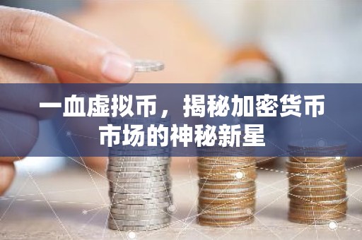 一血虚拟币，揭秘加密货币市场的神秘新星