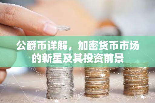 公爵币详解，加密货币市场的新星及其投资前景