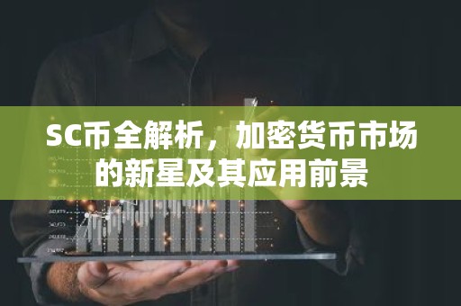 SC币全解析，加密货币市场的新星及其应用前景