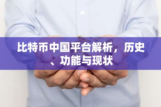 比特币中国平台解析，历史、功能与现状