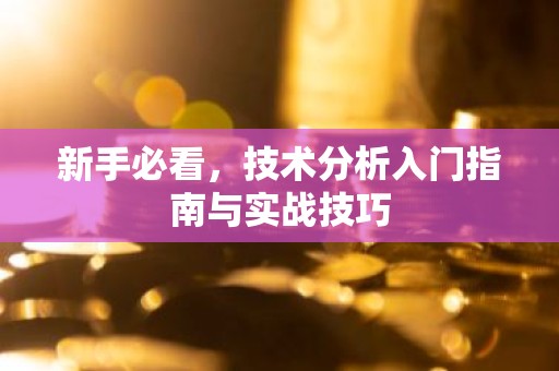 新手必看，技术分析入门指南与实战技巧
