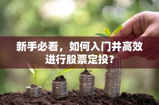 新手必看，如何入门并高效进行股票定投？