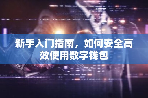 新手入门指南，如何安全高效使用数字钱包